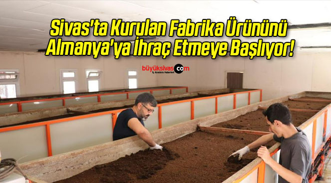Sivas’ta Kurulan Fabrika Ürününü Almanya’ya İhraç Etmeye Başlıyor!
