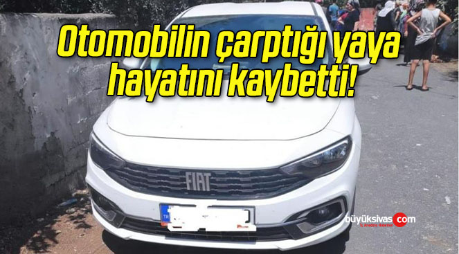 Otomobilin çarptığı yaya hayatını kaybetti!