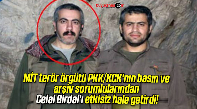 birda