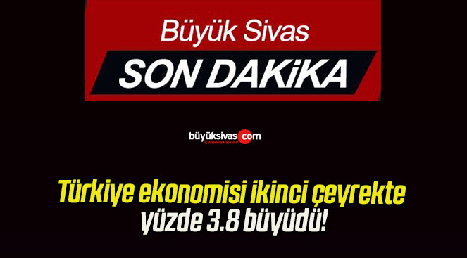 Türkiye ekonomisi ikinci çeyrekte yüzde 3.8 büyüdü!