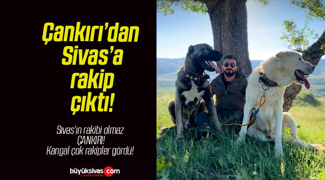 Çankırı’dan Sivas’a rakip çıktı!