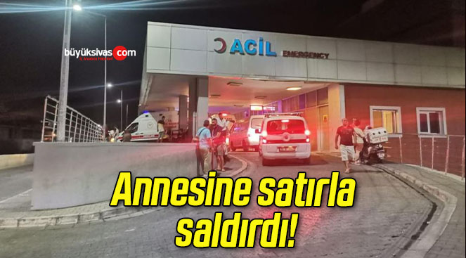 Annesine satırla saldırdı!