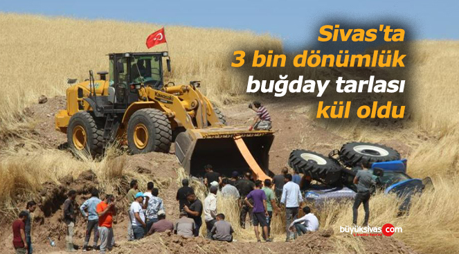 Sivas’ta 3 bin dönümlük buğday tarlası kül oldu