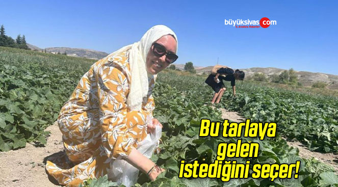 Bu tarlaya gelen istediğini seçer!