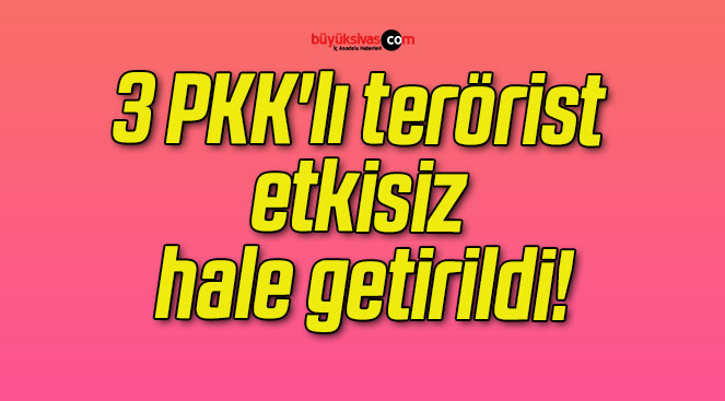 3 PKK’lı terörist etkisiz hale getirildi!