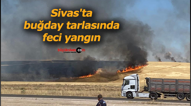 Sivas’ta buğday tarlasında feci yangın