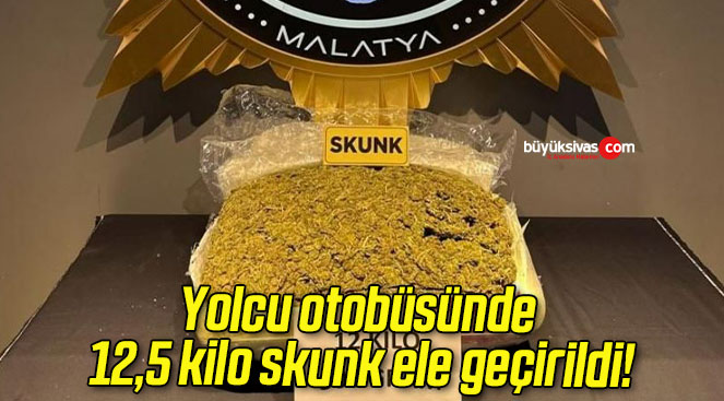 Yolcu otobüsünde 12,5 kilo skunk ele geçirildi!