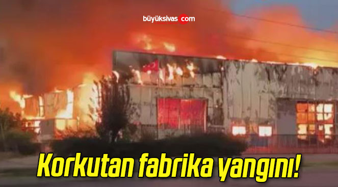 Korkutan fabrika yangını!