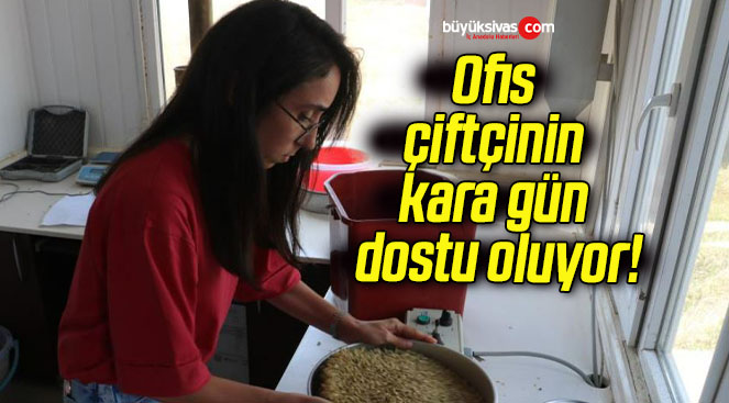 Ofis çiftçinin kara gün dostu oluyor!