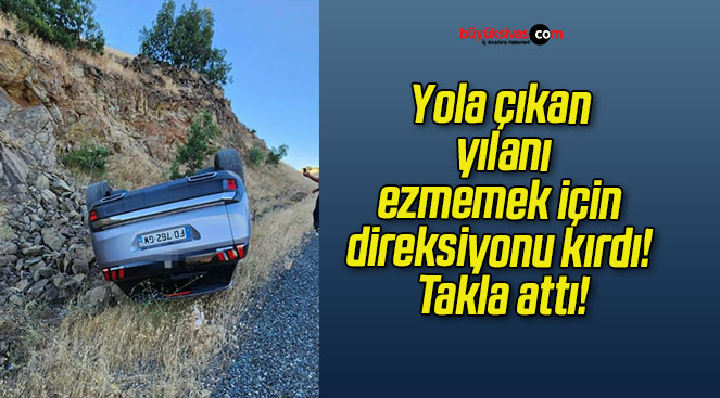 Yola çıkan yılanı ezmemek için direksiyonu kırdı! Takla attı!