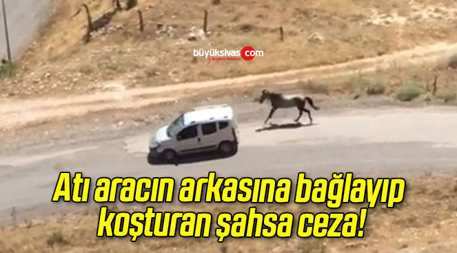 koşt