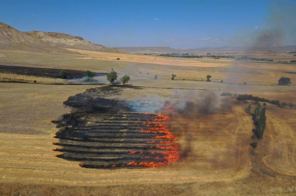 Sivas’ta 4 bin dönümlük alan kül oldu!