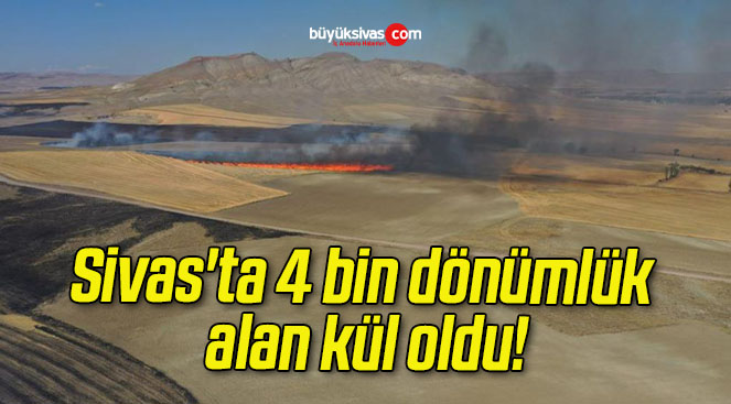 Sivas’ta 4 bin dönümlük alan kül oldu!