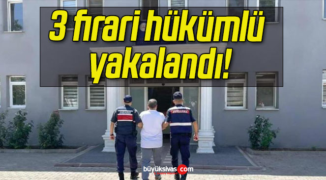 landıs