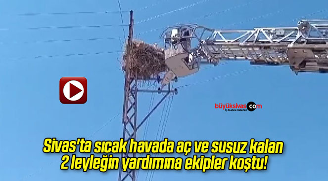 lek