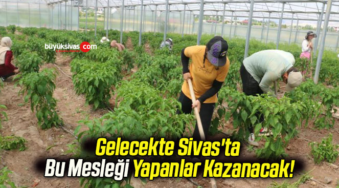 Gelecekte Sivas’ta Bu Mesleği Yapanlar Kazanacak!