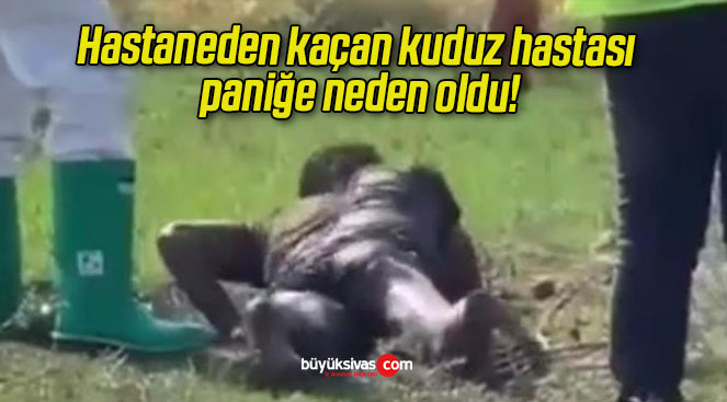 oldıs
