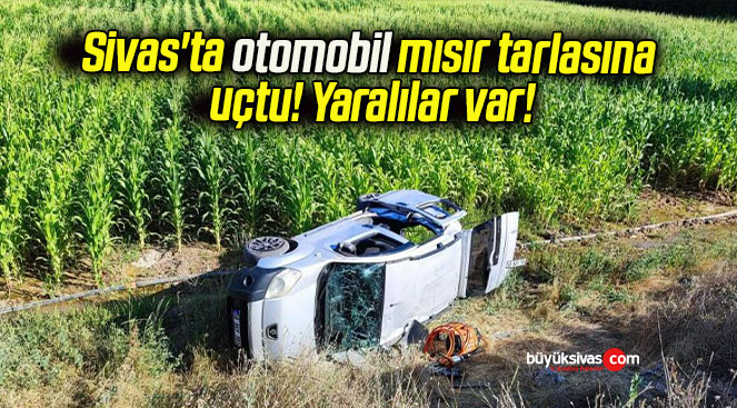 Sivas’ta otomobil mısır tarlasına uçtu! Yaralılar var!