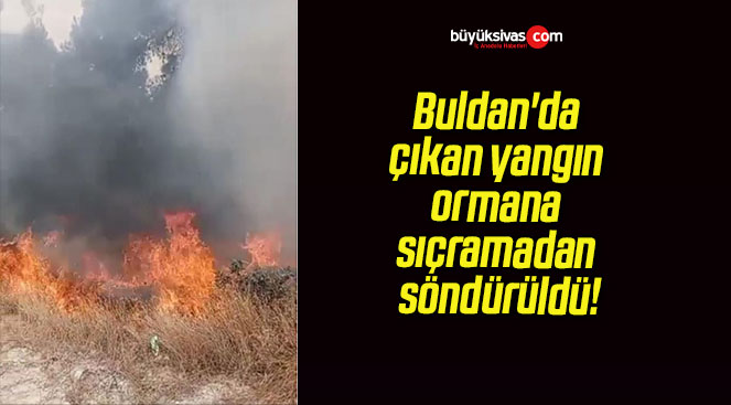 Buldan’da çıkan yangın ormana sıçramadan söndürüldü!