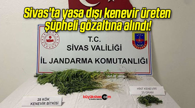 şüpheli