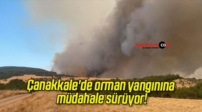 Çanakkale’de orman yangınına müdahale sürüyor!
