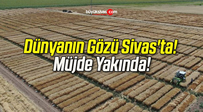 Dünyanın Gözü Sivas’ta! Müjde Yakında!