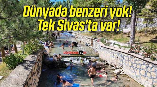 Dünyada benzeri yok! Tek Sivas’ta var!