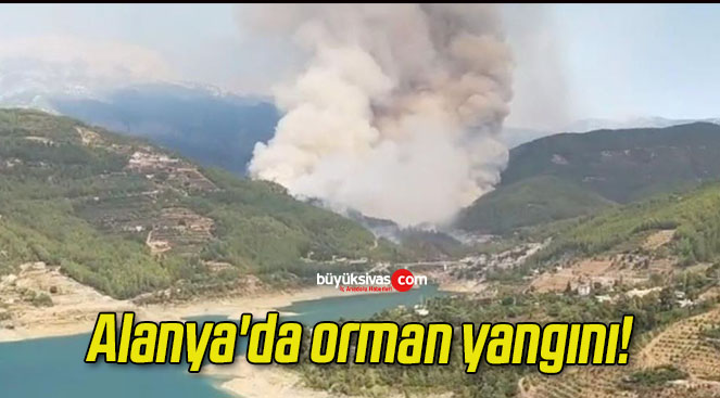 Alanya’da orman yangını!