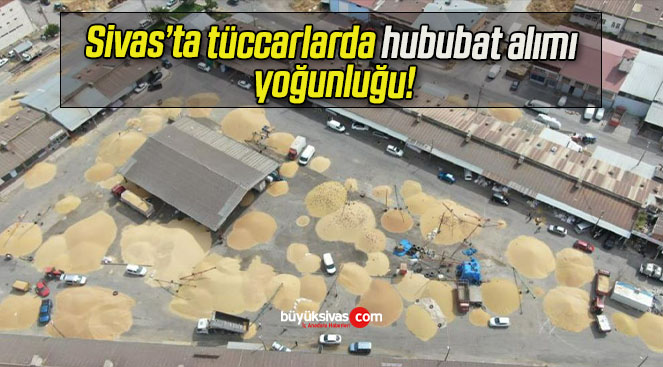 Sivas’ta tüccarlarda hububat alımı yoğunluğu!