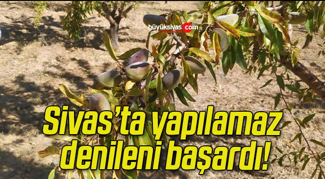 Sivas’ta yapılamaz denileni başardı!