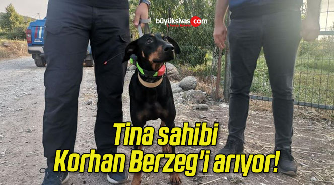Tina sahibi Korhan Berzeg’i arıyor!