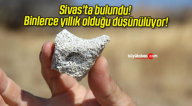 düşün