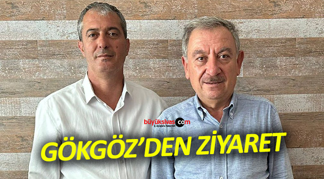 gökgöz