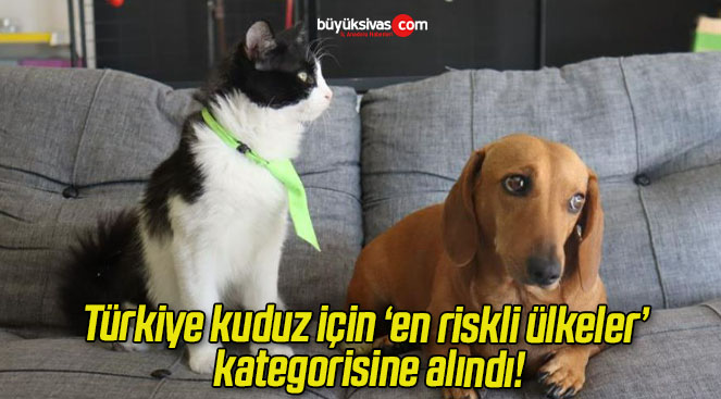 Türkiye kuduz için ‘en riskli ülkeler’ kategorisine alındı!