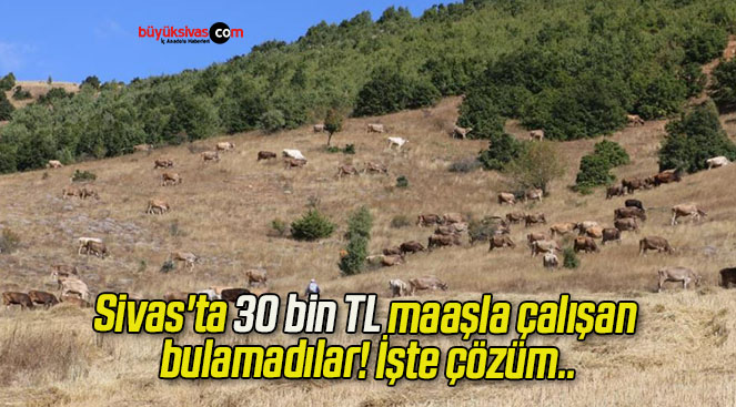 maaş