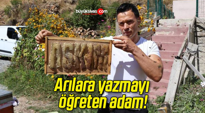 Arılara yazmayı öğreten adam!