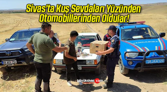 Sivas’ta Kuş Sevdaları Yüzünden Otomobillerinden Oldular!
