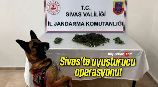Sivas’ta uyuşturucu operasyonu!