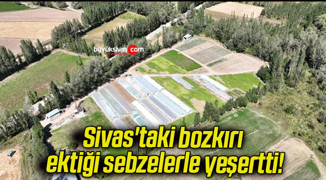 sebze