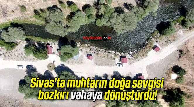 vaha