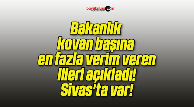 Bakanlık kovan başına en fazla verim veren illeri açıkladı! Sivas’ta var!