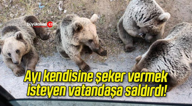 vatan