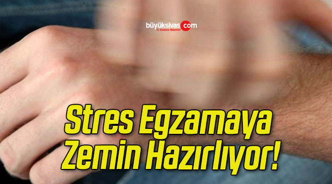 zemins