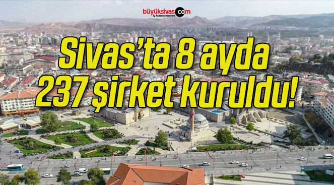 Sivas’ta 8 ayda 237 şirket kuruldu!