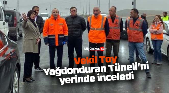 Toy Yağdonduran