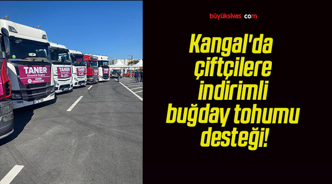 Kangal’da çiftçilere indirimli buğday tohumu desteği!