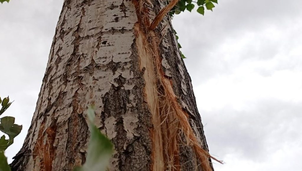 Sivas’ta Şehir Merkezine Yıldırım Düştü! 1 Kişi Hastaneye Kaldırıldı!