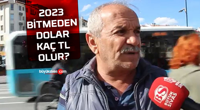 dolar kaç tl