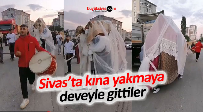 Sivas’ta deve ile gelin alma geleneği yaşatıldı