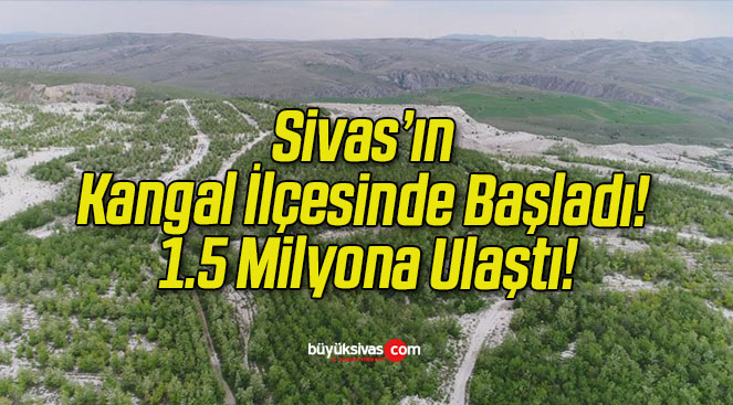 Sivas’ın Kangal İlçesinde Başladı! 1.5 Milyona Ulaştı!
